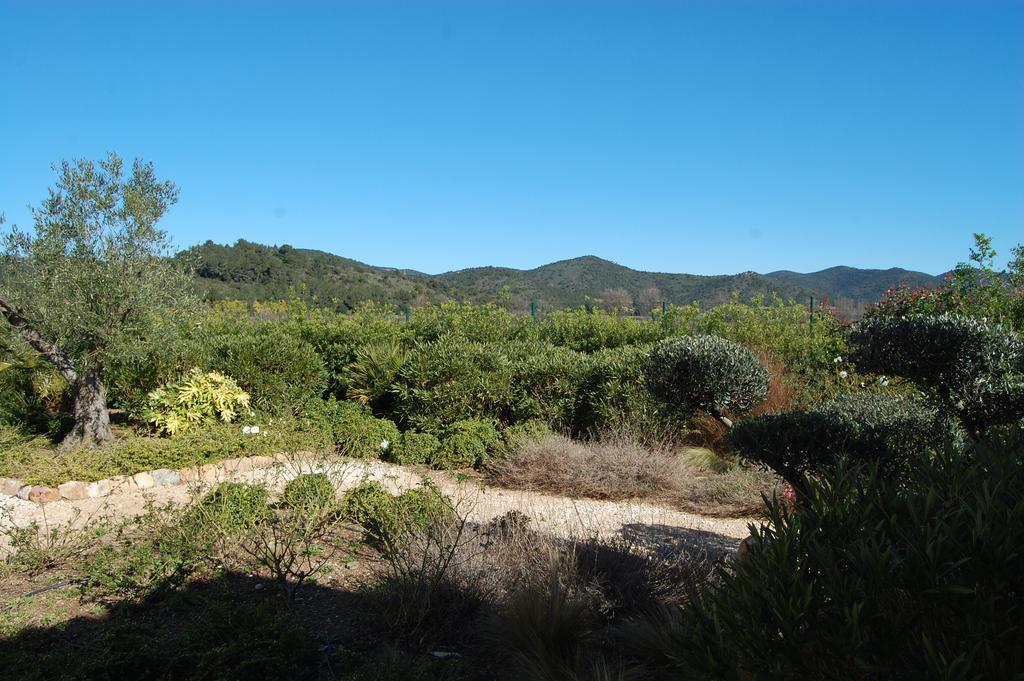 Chateau De La Clapiere Hyeres Bilik gambar