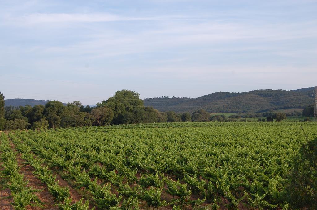 Chateau De La Clapiere Hyeres Luaran gambar