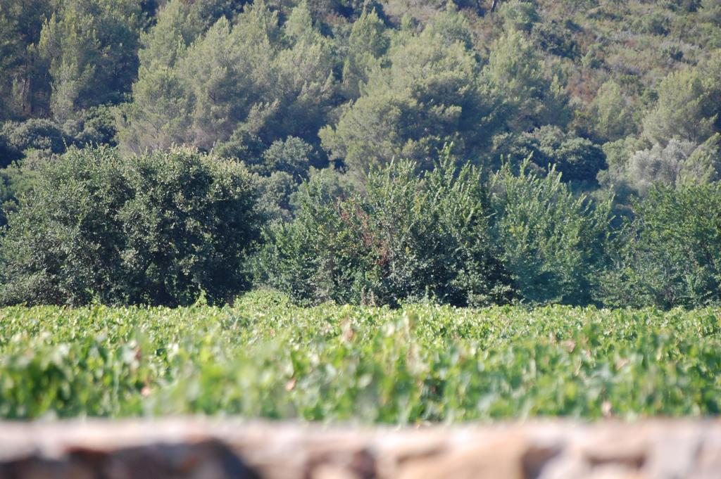Chateau De La Clapiere Hyeres Luaran gambar